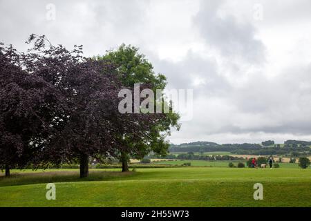 Vista sul Brannockburn Parkland in Scozia Foto Stock