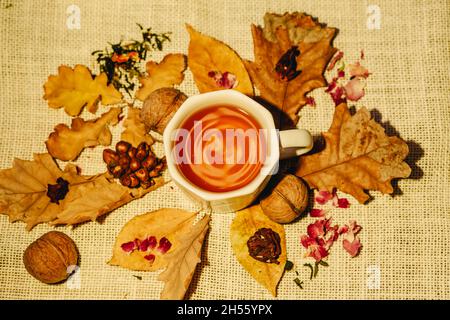 Vista dall'alto della tazza di tè con foglie autunnali, noci e foglie di tè secco Foto Stock