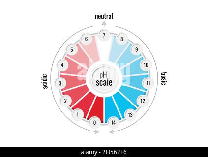 Misuratore grafico scala valori pH per soluzioni acide e alcaline Illustrazione Vettoriale