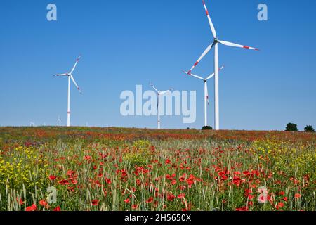 Turbine eoliche e un prato pieno di fiori colorati visto in Germania Foto Stock