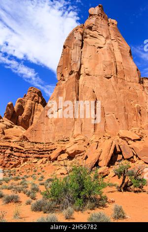 Arches National Park Avenue incredibile paesaggio con splendide formazioni rocciose in giornata di sole bellissimo panorama con arenaria a forma di forme insolite Foto Stock