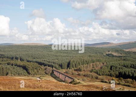 Il viadotto Big Water of Fleet attraversa la Big Water of Fleet a Dromore, vicino al Gatehouse of Fleet Dumfries e Galloway Scozia Foto Stock