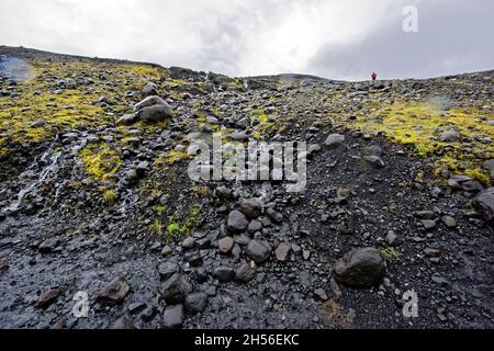Laufskalar Cairn (Laufskalavaroa), la pianura di Myrdalssandur, campo di lava coperto da muschio Laufskálavarða, sul vulcano posteriore Katla, Kirkjubæjarklaustur, su Foto Stock