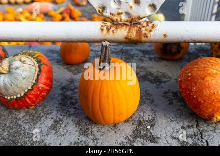 Un sacco di mini zucca al mercato agricolo all'aperto Foto Stock