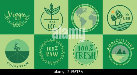 Vegane e cibo sano orientato banner su sfondo verde. 100 freschi Illustrazione Vettoriale