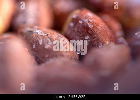 Grani di sale in piedi su arachidi salate arrostite Foto Stock