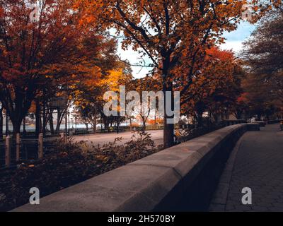 Campo da pallacanestro a NYC in autunno Foto Stock