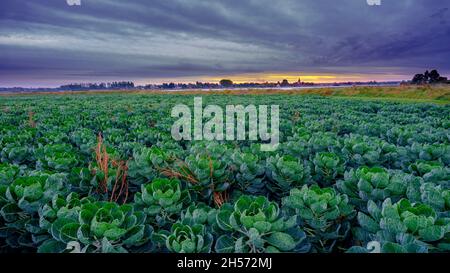 Bosham, Regno Unito - 18 ottobre 2021: Alba autunnale su Bosham, West Sussex, Regno Unito Foto Stock