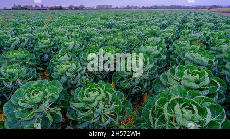 Bosham, Regno Unito - 18 ottobre 2021: Alba autunnale su Bosham, West Sussex, Regno Unito Foto Stock