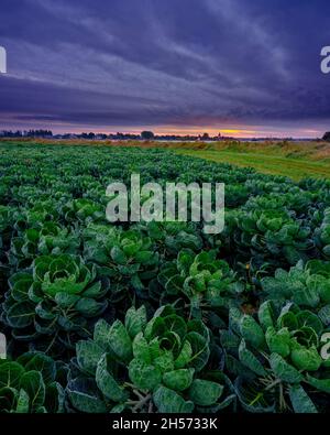 Bosham, Regno Unito - 18 ottobre 2021: Alba autunnale su Bosham, West Sussex, Regno Unito Foto Stock