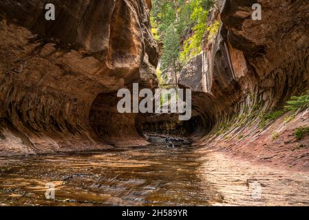 Magnifica gola della metropolitana, punto di riferimento nel Parco Nazionale di Zion nello Utah, USA Foto Stock