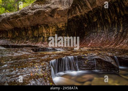 Magnifica gola della metropolitana, punto di riferimento nel Parco Nazionale di Zion nello Utah, USA Foto Stock