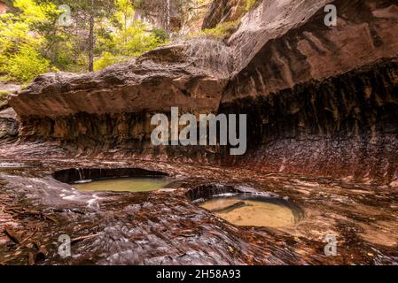 Magnifica gola della metropolitana, punto di riferimento nel Parco Nazionale di Zion nello Utah, USA Foto Stock