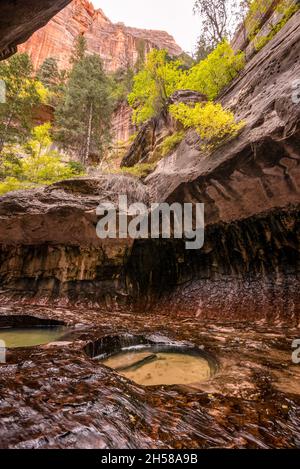 Magnifica gola della metropolitana, punto di riferimento nel Parco Nazionale di Zion nello Utah, USA Foto Stock