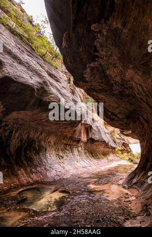 Magnifica gola della metropolitana, punto di riferimento nel Parco Nazionale di Zion nello Utah, USA Foto Stock