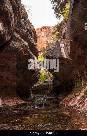 Magnifica gola della metropolitana, punto di riferimento nel Parco Nazionale di Zion nello Utah, USA Foto Stock