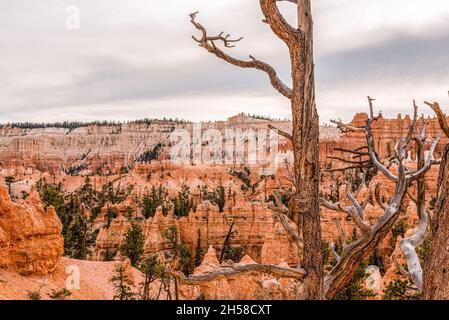 Rocce panoramiche dal Navajo Loop Trail che conduce attraverso il Bryce Canyon, USA Foto Stock