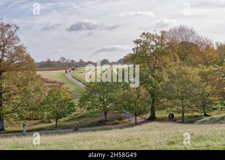 Sevenoaks Weald, Kent UK 7 novembre 2021. UK Meteo: Raggi solari autunnali e raggi di sole nebulosi nel parco di campagna del Kent, terreni coperti da foglie autunnali e colorate. Credit: Xiu Bao/Alamy Live News Foto Stock