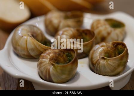 Helix Aspersa Muller piatto di lumaca in un ristorante. Lumache commestibili con burro e condimenti. Foto Stock