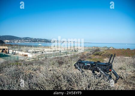 Monterey, Stati Uniti d'America. 03 novembre 2021. Un cane robot dell'aeronautica statunitense AT&T Fido-G opera nel Sea Land Air Military Research Facility durante la sua Joint Interagency Field Experimentation 3 novembre 2021 a Monterey, California. Credit: MC2 James Norket/US Navy Photo/Alamy Live News Foto Stock