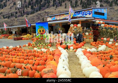 Keremeos, British Columbia, Canada - 1 ottobre 2021: Il Palauro di Peach King frutta stand e contadini mercato esposizione e l'organizzazione di inverno squash celebrati Foto Stock