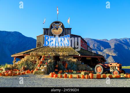 Keremeos, British Columbia, Canada - 30 settembre 2021: Porta frutta stand e contadini mercato esposizione e l'organizzazione di inverno squash celebrare il Foto Stock