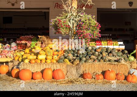 Keremeos, British Columbia, Canada - 30 settembre 2021: Il Peach King frutta stand e gli agricoltori mercato mostra e l'organizzazione di inverno squash celebrbr Foto Stock