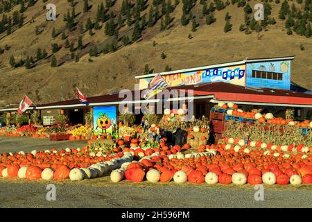 Keremeos, British Columbia, Canada - 30 settembre 2021: Il Peach King frutta stand e gli agricoltori mercato mostra e l'organizzazione di inverno squash celebrbr Foto Stock