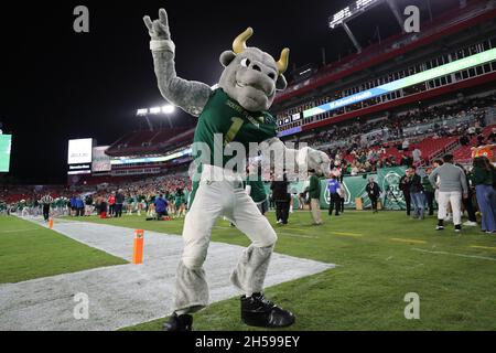 Tampa, Florida, Stati Uniti. 6 novembre 2021. La mascotte dei South Florida Bulls fa il tifo durante la partita tra gli Houston Cougars e i South Florida Bulls al Raymond James Stadium di Tampa, Florida. (Foto di Peter Joneleit). Credit: csm/Alamy Live News Foto Stock