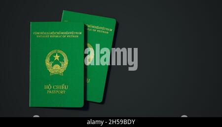 Passaporto del Vietnam. Passaporto da paesi diversi con sfondi scuri rendering 3d. Foto Stock