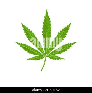 Icona foglia di cannabis. Silhouette verde indica sativa isolato sfondo bianco. Erbe medicina pianta di erbe. Canapa erbaccia naturale. Dipendenza fumo droga Ille Illustrazione Vettoriale