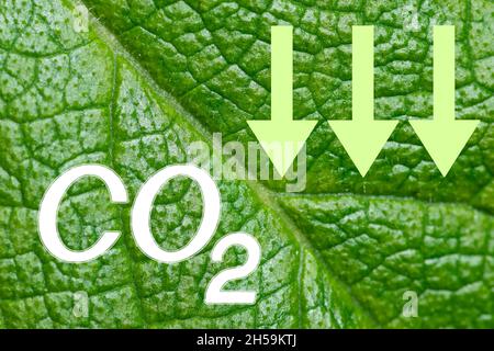 Simbolo CO2 anidride carbonica e frecce verso il basso su sfondo verde della foglia. Concetto di riduzione della CO2. Salvare il concetto di pianeta Foto Stock