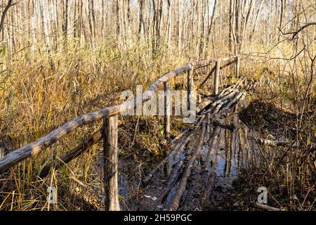 Terrazze in legno con corrimano per superare la palude. Foto Stock