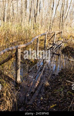 Terrazze in legno con corrimano per superare la palude. Foto Stock