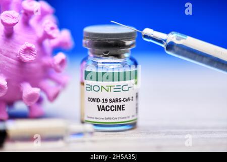 Injektionsflasche mit Impfspritze und Verkauf von Biontech, Symbolfoto Foto Stock