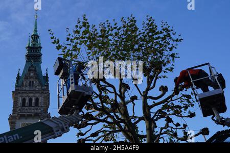 Amburgo, Germania. 8 novembre 2021. Due uomini stanno tagliando rami di un albero nel mercato del municipio. Credit: Marcus Brandt/dpa/Alamy Live News Foto Stock