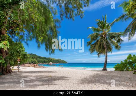 Paradiso tropicale spiaggia. Incredibile spiaggia di Anse Lazio sull'isola di Praslin, Seychelles. Foto Stock