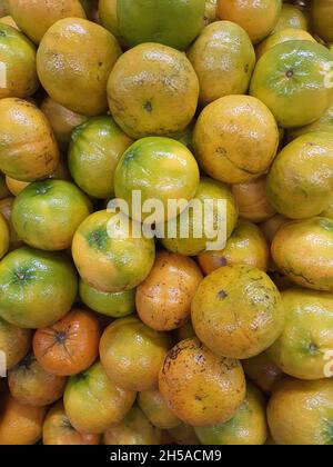 Bergamotto tangerino in un mercato, a schermo intero. (Reticolata di agrumi). Foto Stock