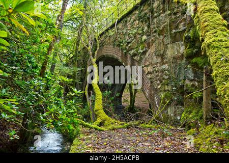 Acon Rhaiadr Ferrovia in disuso Viadotto Foto Stock