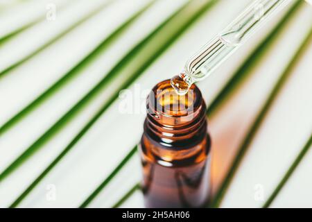 Goccia di olio essenziale dalla pipetta in flacone vicino alla foglia di palma verde, primo piano Foto Stock