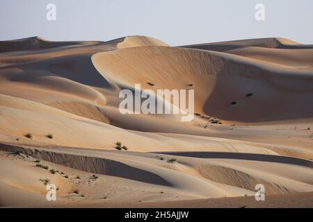 Abu Dhabi, Emirati Arabi Uniti. 8 novembre 2021. Paesaggio durante la fase 2 distribuzione ADNOV del 2021 Abu Dhabi Desert Challenge ad Abu Dhabi, Emirati Arabi Uniti il 8 novembre 2021 - Foto Julien Delfosse / DPPI Credit: DPPI Media / Alamy Live News Foto Stock