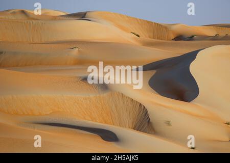 Abu Dhabi, Emirati Arabi Uniti. 8 novembre 2021. Paesaggio durante la fase 2 distribuzione ADNOV del 2021 Abu Dhabi Desert Challenge ad Abu Dhabi, Emirati Arabi Uniti il 8 novembre 2021 - Foto Julien Delfosse / DPPI Credit: DPPI Media / Alamy Live News Foto Stock