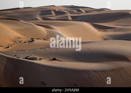 Abu Dhabi, Emirati Arabi Uniti. 8 novembre 2021. Paesaggio durante la fase 2 distribuzione ADNOV del 2021 Abu Dhabi Desert Challenge ad Abu Dhabi, Emirati Arabi Uniti il 8 novembre 2021 - Foto Julien Delfosse / DPPI Credit: DPPI Media / Alamy Live News Foto Stock