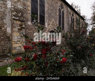 L'esterno della guildhall, parco del priorato Chichester, in autunno Foto Stock