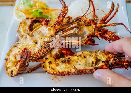 Primo piano di code di aragosta appena grigliate servite con insalata di verdure e lievitare. Foto di alta qualità Foto Stock