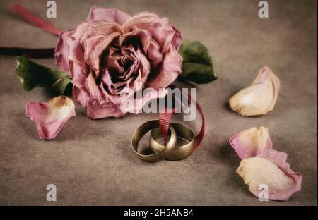 Rosa appassita rosa e due anelli Foto Stock