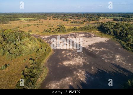 Laghi essiccati Steenhaarplassen nella riserva naturale Buurserzand durante l'estate estremamente secca del 2018, Overijssel, Paesi Bassi Foto Stock