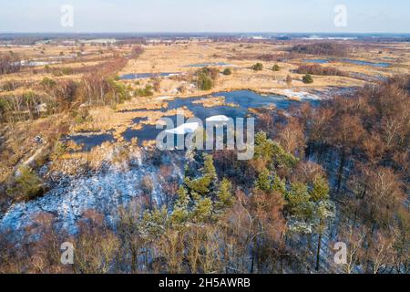 Veduta aerea della brughiera e della foresta ricoperta di neve nella riserva naturale Haaksbergerveen nel gennaio 2019, Overijssel, Paesi Bassi Foto Stock