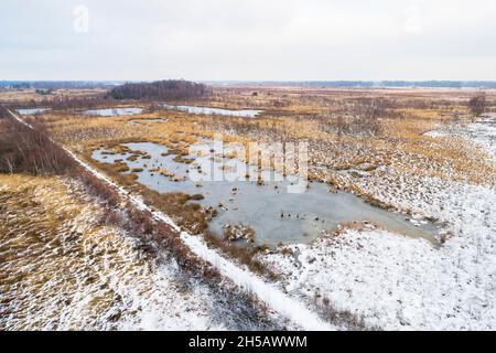 Veduta aerea di brughiere coperte di neve nella riserva naturale Haaksbergerveen nel gennaio 2019, Overijssel, Paesi Bassi Foto Stock