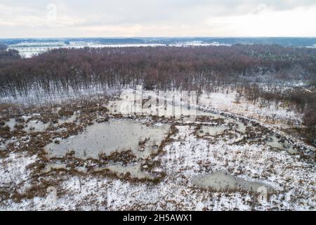 Veduta aerea della brughiera e della foresta ricoperta di neve nella riserva naturale Haaksbergerveen nel gennaio 2019, Overijssel, Paesi Bassi Foto Stock